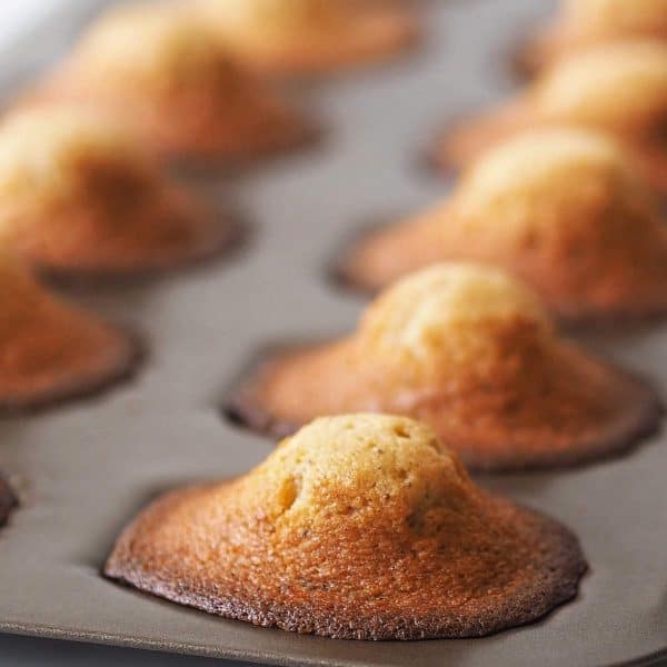 Madeleines miel, noisettes et pépites de chocolat - Recettes de tous les  jours - Elle & Vire