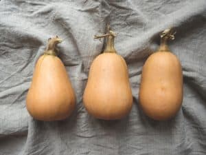 trois butternuts vus de dessus