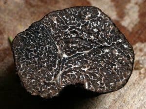 truffe noire tranchée