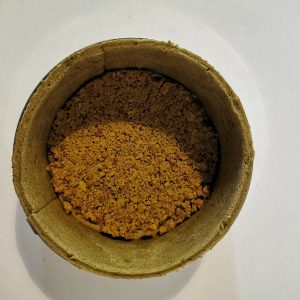 Biscuit matcha et fond streuzel pistache