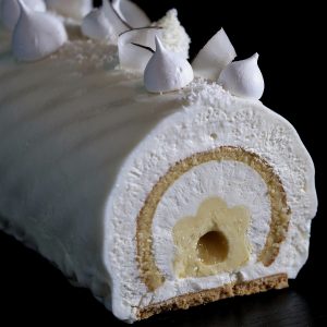 Bûche citron, citron vert et noix de coco vue de face