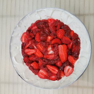 montage fraisier insert fraise