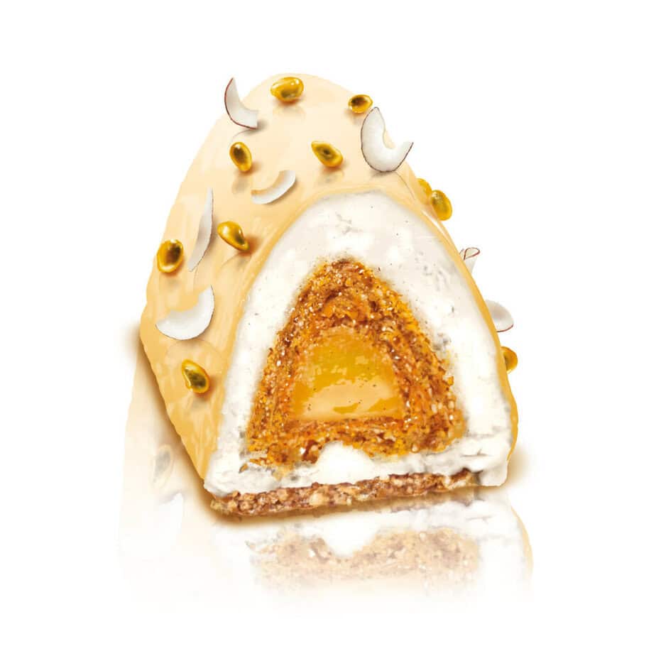 Illustration Bûche PASSION COCO