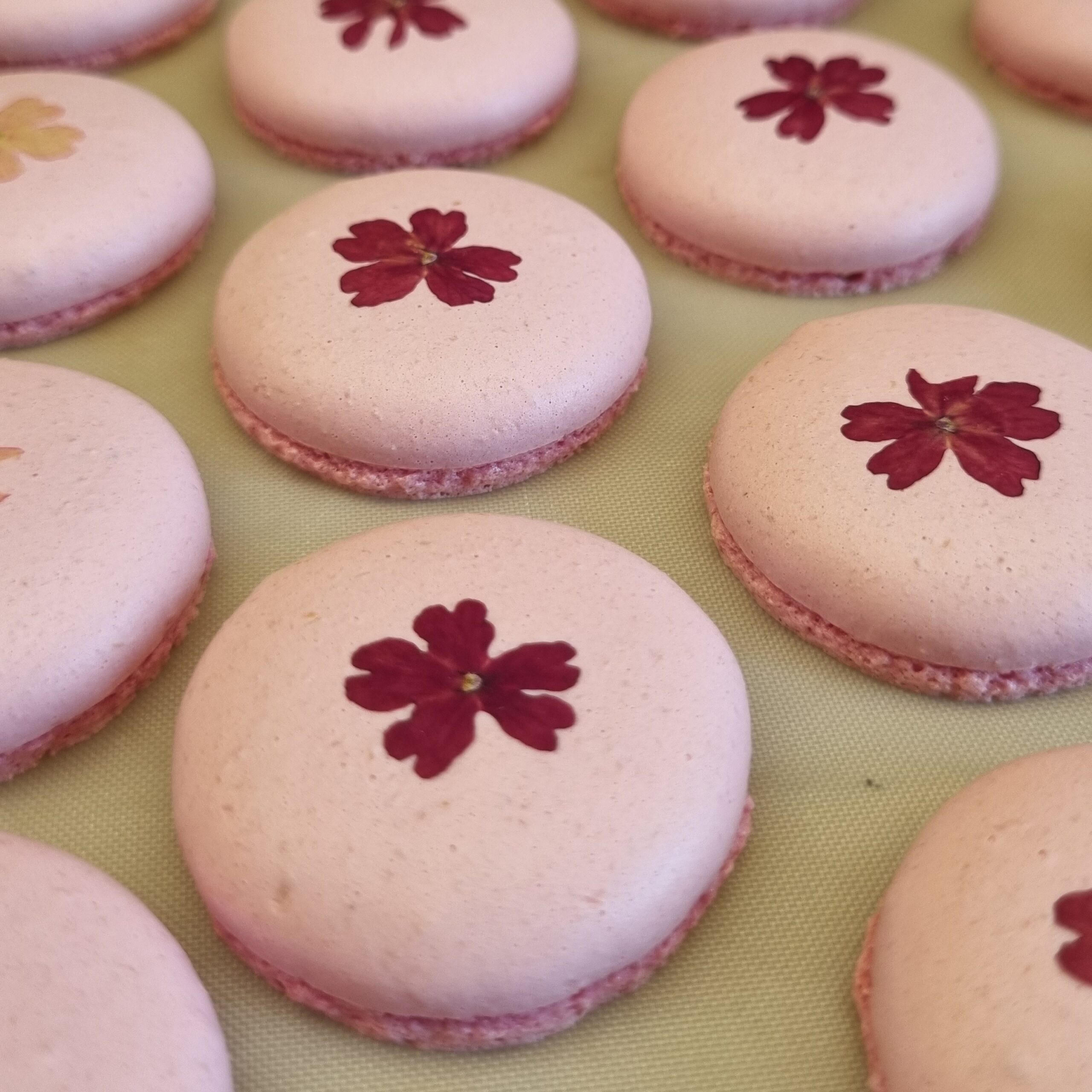 Macarons Meringue Française ou Italienne – Image 7
